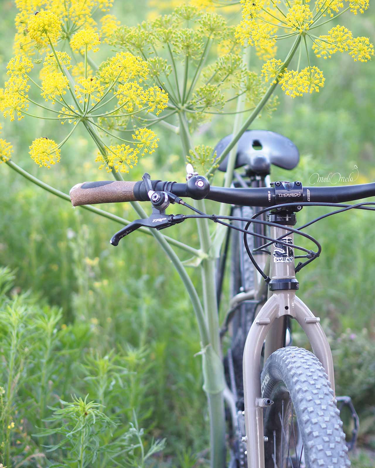 a-velo-surly-en-bici-valladolid-junio-2024-yoniquenews