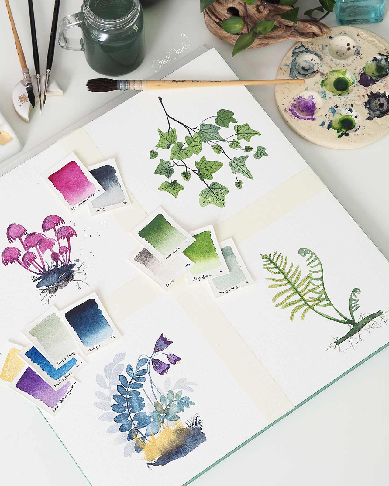 aquarelle-herbier-forestier-challenge-jennyillustrations-secrets-foret-laboutiquedemelimelo