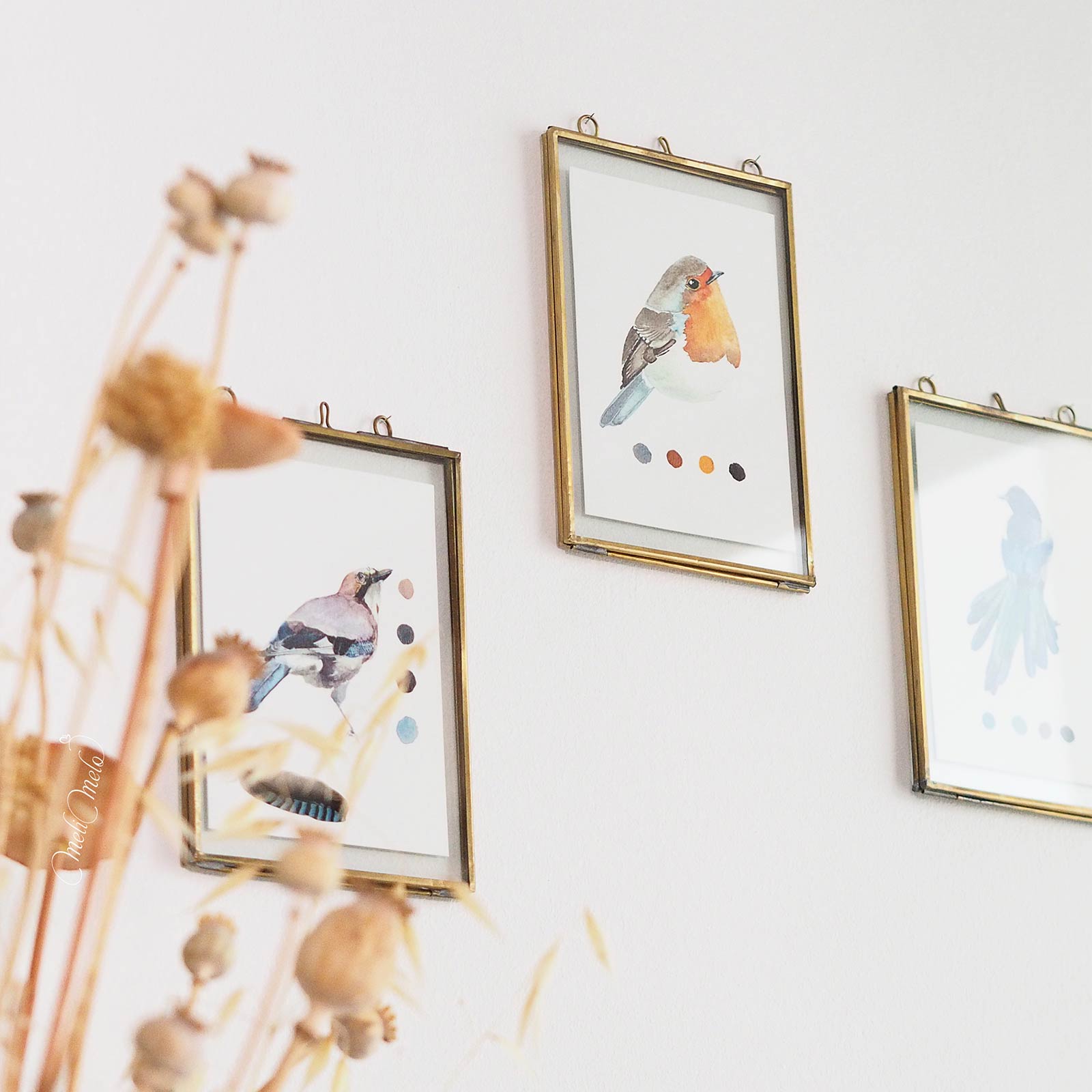 aquarelle-oiseau-geai-rouge-gorge-pielherbierdedessins-julie-mayer-cadre-laiton-nkuku-laboutiquedemelimelo