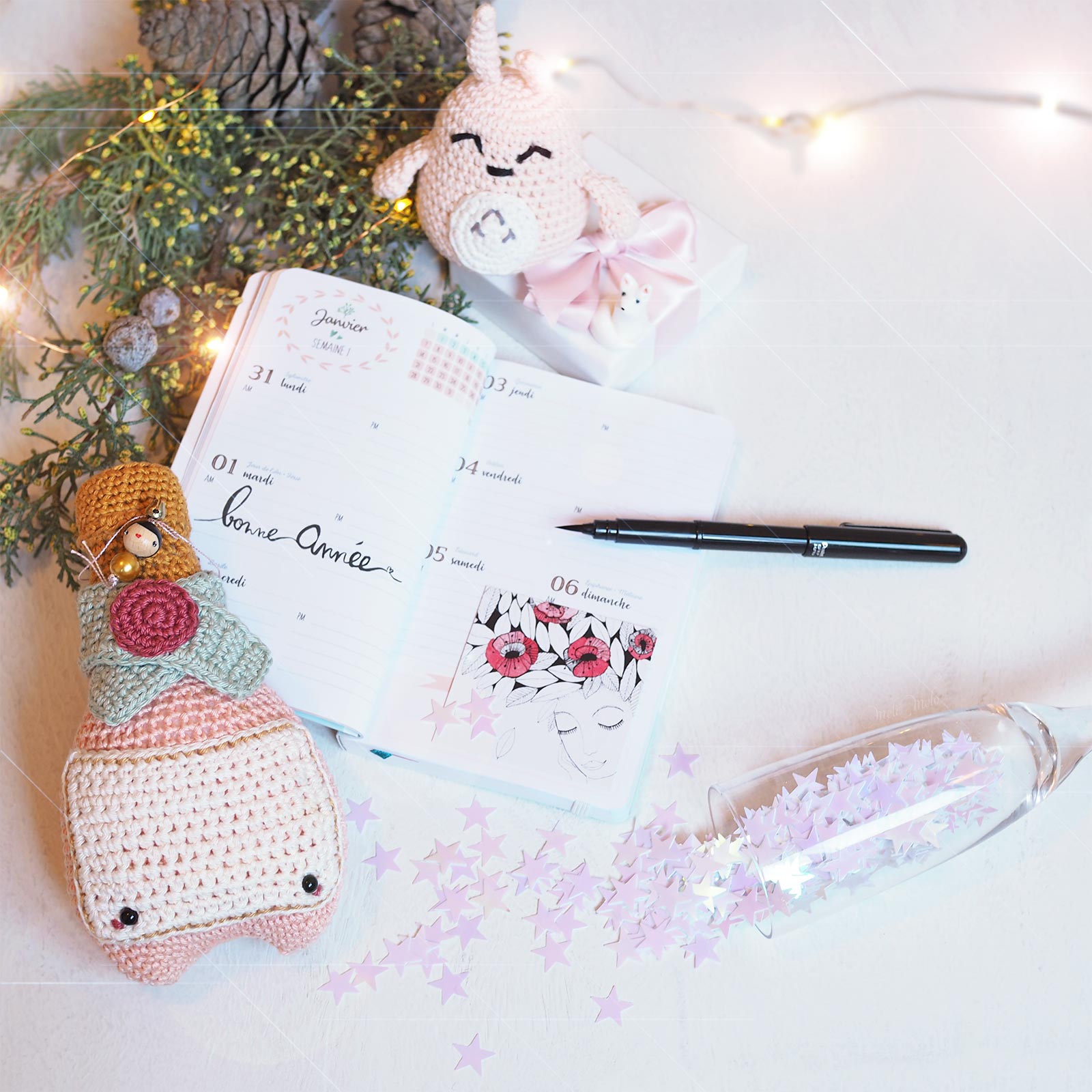 bonne année voeux 2019 crochet Totoro champagne chloé mignonneries émotion saisons Les Pois Plumes  laboutiquedemelimelo