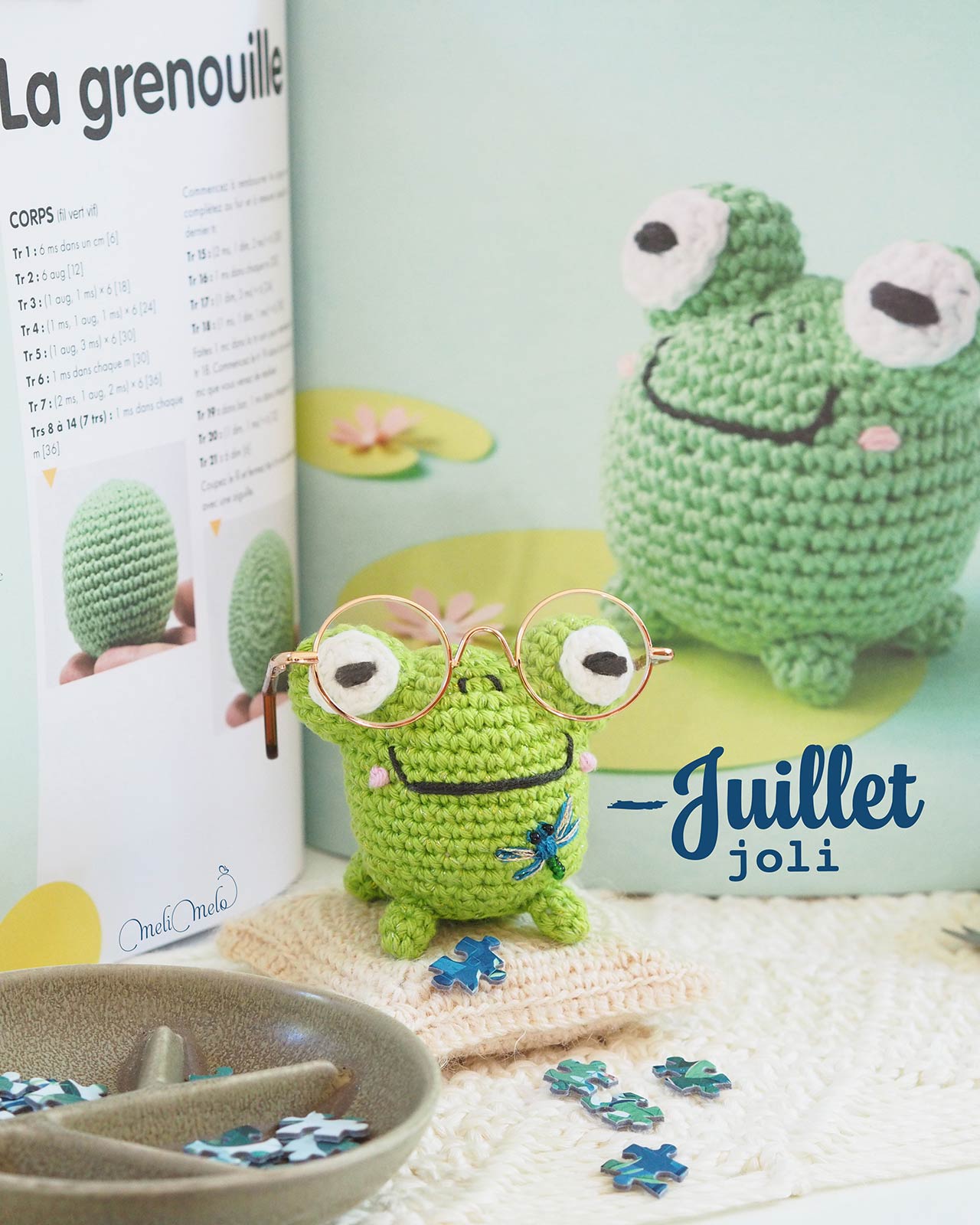 broderie-lubellule-demoiselle-bleu-crochet-grenouille-livre-amigurumims-annick-ly-laboutiquedemelimelo
