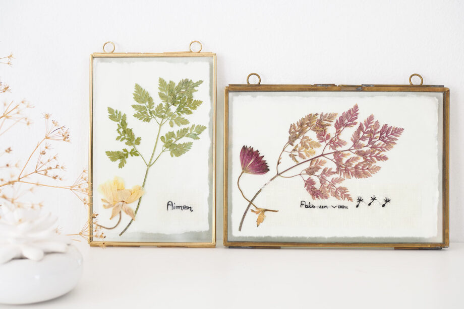 cadres-herbier-feuilles-fleurs-flowersbymelimelo-laboutiquedemelimelo