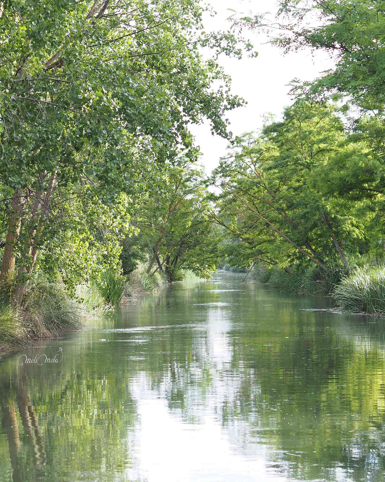 canal-castilla-valladolid-junio-2024-yoniquenews-laboutiquedemelimelo
