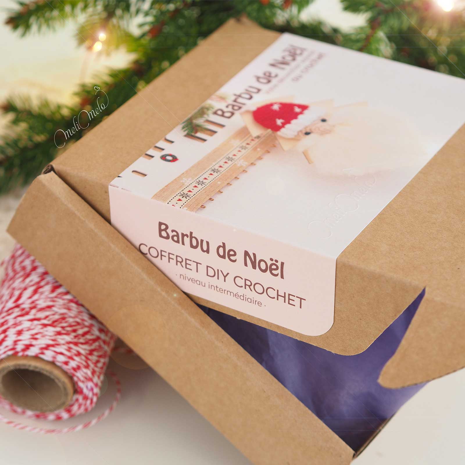 coffret-kit-diy-crochet-deco-barbu-pere-noel-intermediaire-laboutiquedemelimelo
