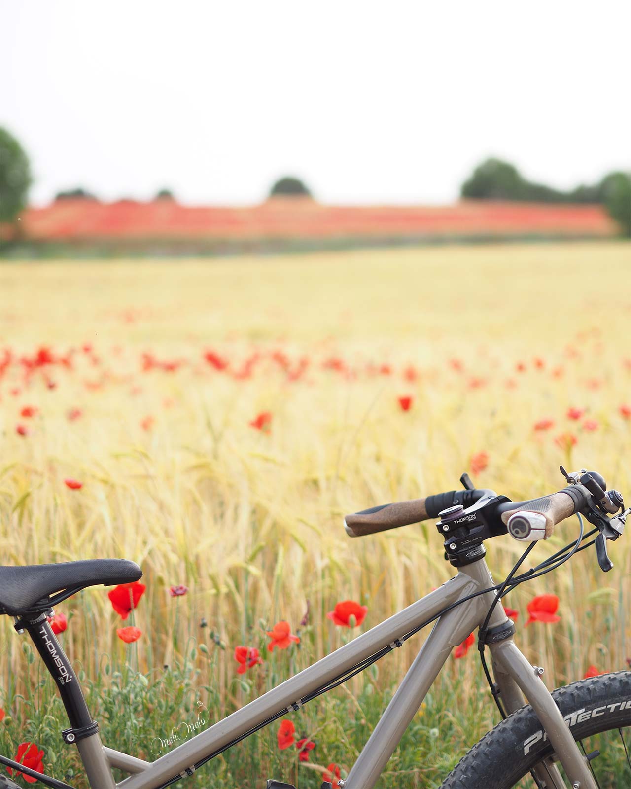 coquelicot-surly-ogre-velo-printemps-2024-junio-valladolid-yoniquenews-laboutiquedemelimelo