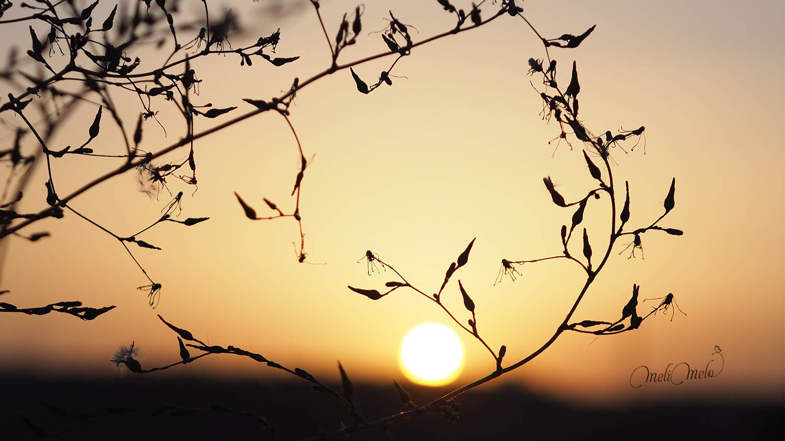 coucher-soleil-septembre-2025-yoniquenews