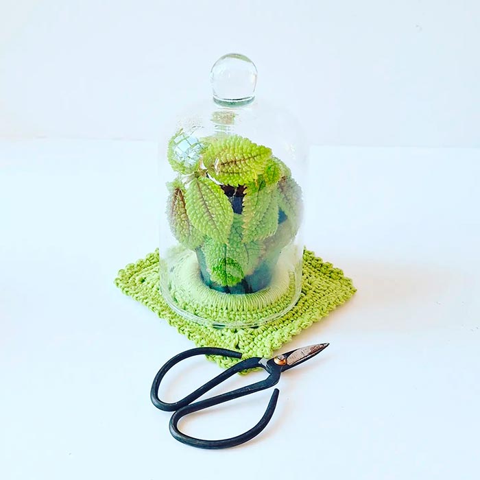crochet-bo-granny-pilea-par-mafabriquebykaro