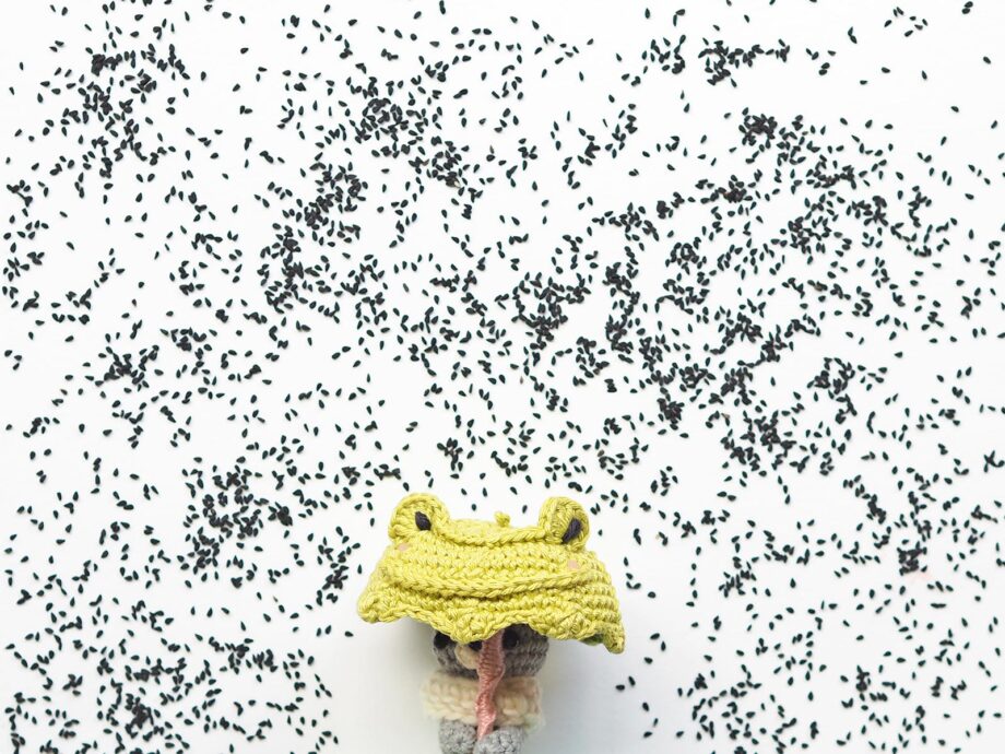 crochet tiny teddy parapluie grenouille créations mignonneries Catona Scheepjes laboutiquedemelimelo