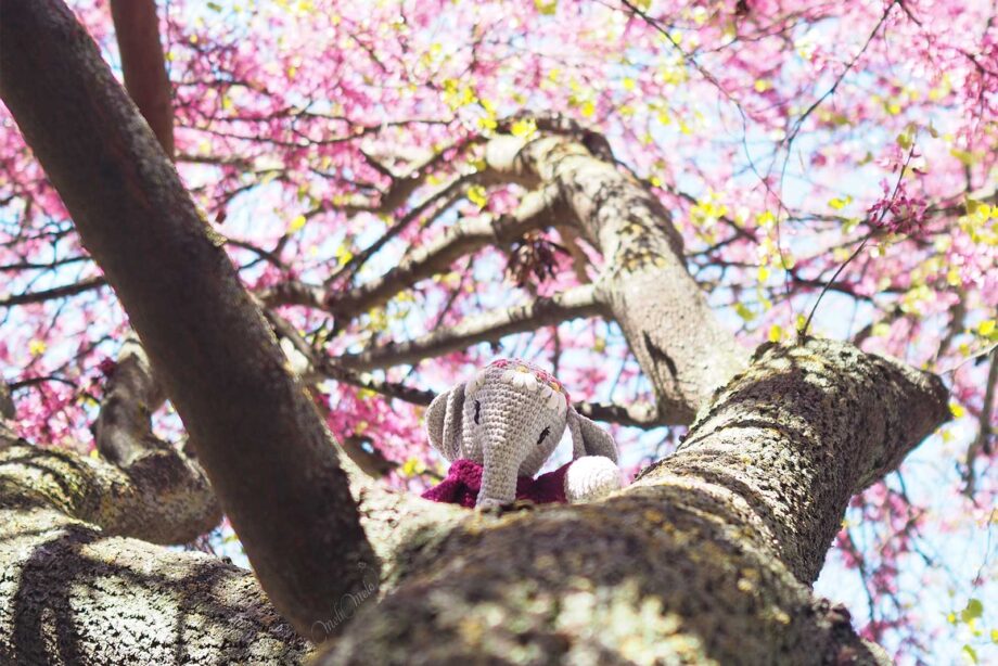 floraison-cercis-arbre-judee-elephant-amigurumi-crochet-laboutiquedemelimelo