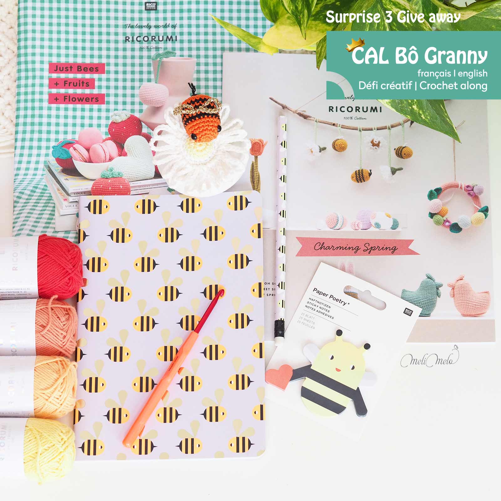 giveaway-3-crochet-along-calbogranny-queen-granny-square-ricorumi-ricodesign-laboutiquedemelimelo