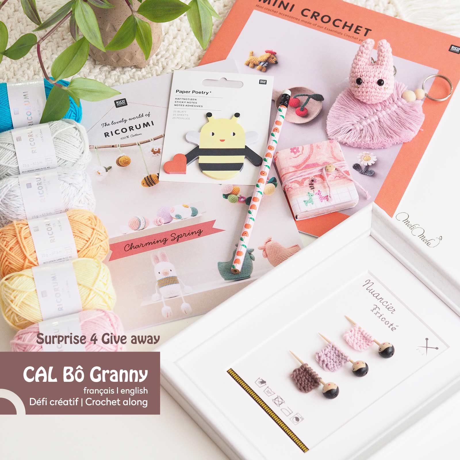 giveaway-4-crochet-along-calbogranny-x-granny-square-ricorumi-ricodesign-laboutiquedemelimelo
