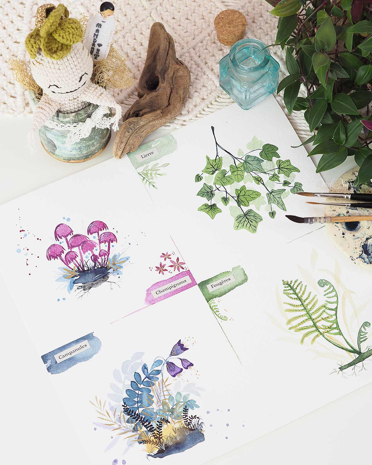 herbier-forestier-aquarelle-challenge-secrets-foret-jennyillustrations-laboutiquedemelimelo