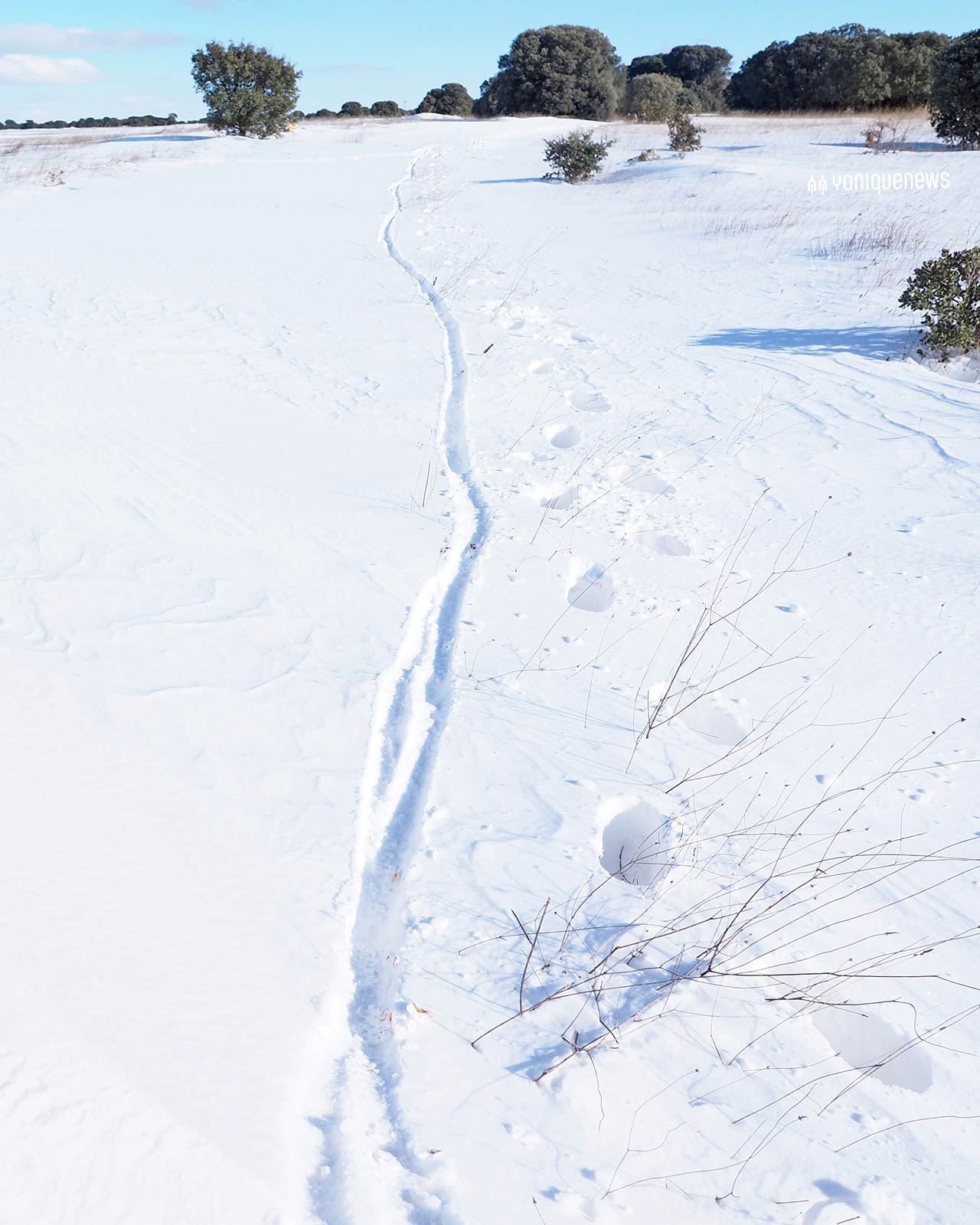 huellas-en-nieve-invierno-en-bici-yoniquenews