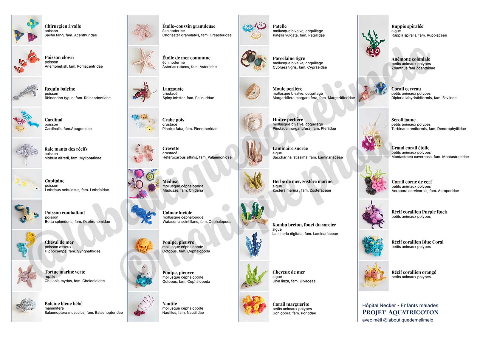 identification-creatures-marines-aquarium-hopital-necker-laboutiquedemelimelo