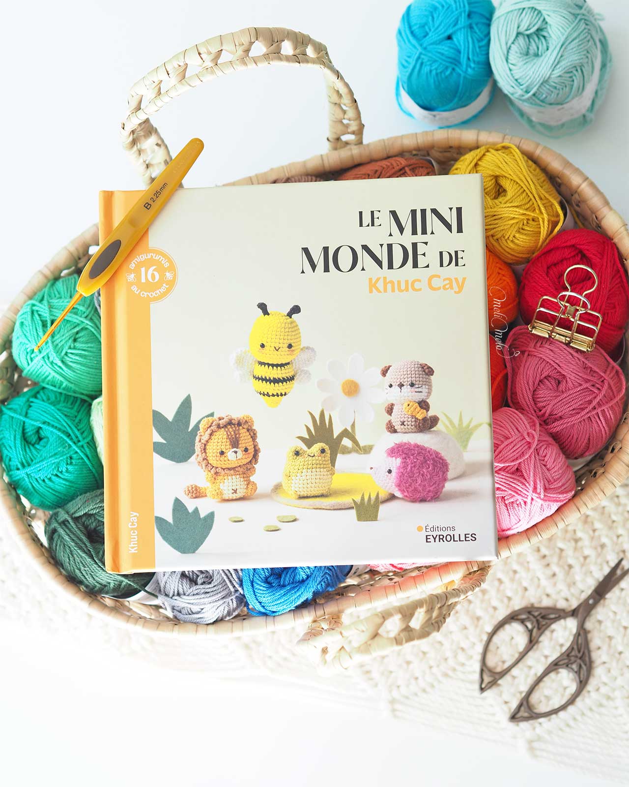 livre-mini-monde-khuc-cay-crochet-editions-eyrolles-laboutiquedemelimelo