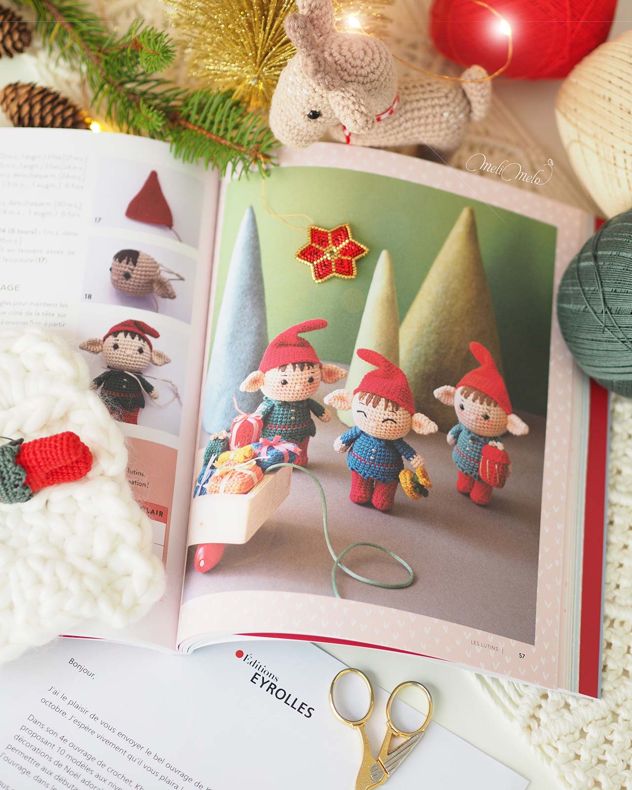 lutin-noel-khuc-cay-livre-editions-eyrolles-laboutiquedemelimelo
