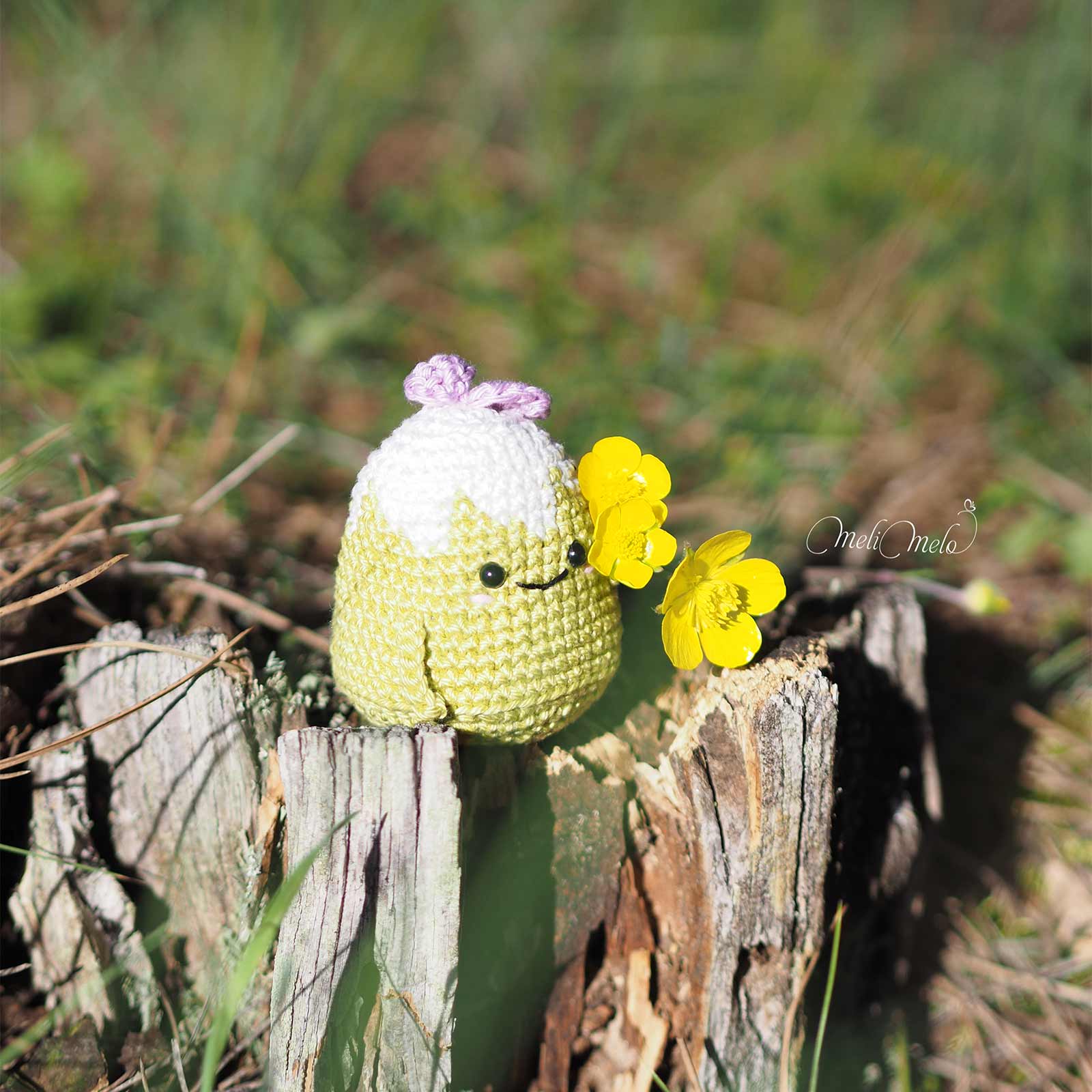 montagne-crochet-fleurs-bouton-or-catona-scheepjes-amigurumims-apily-laboutiquedemelimelo