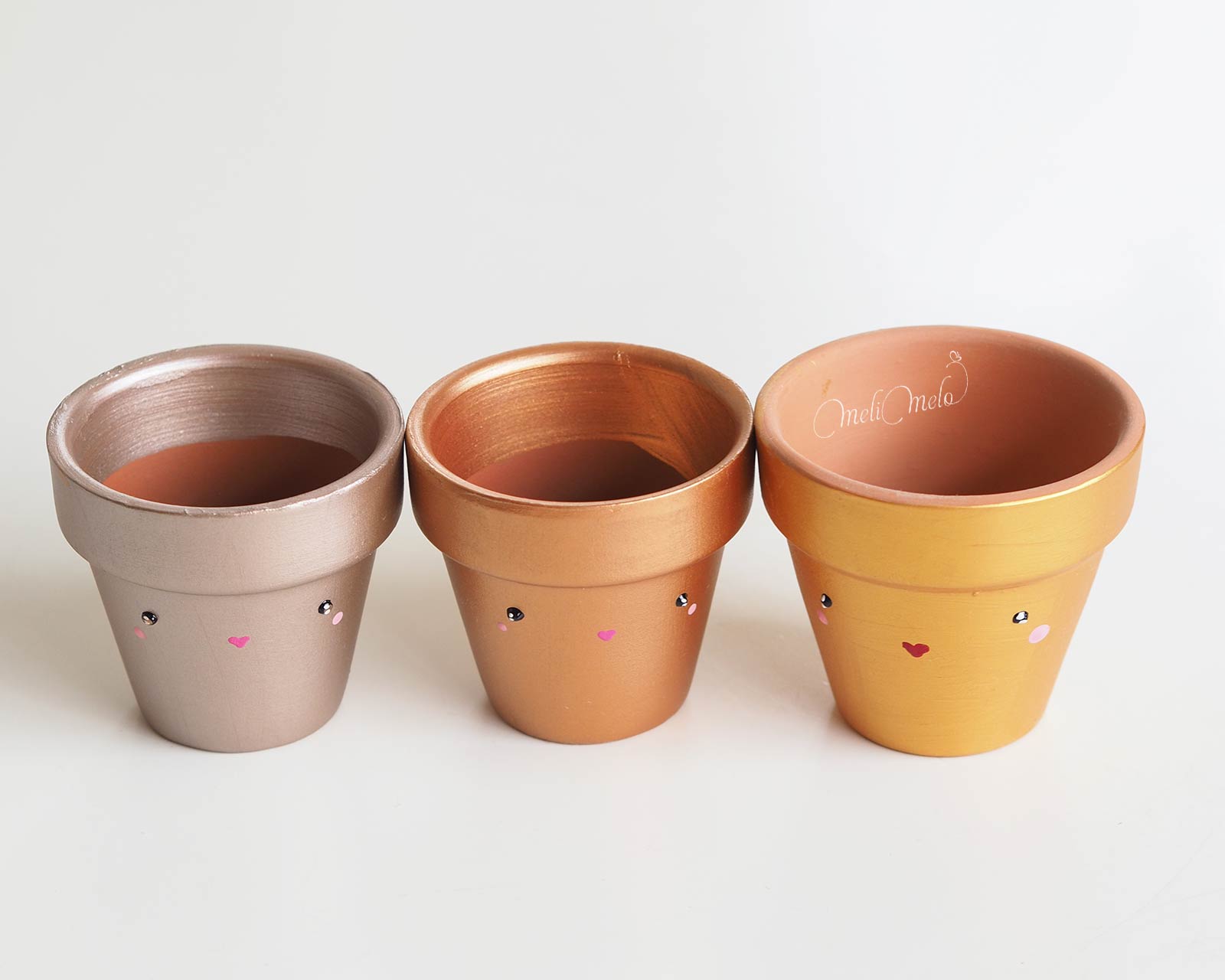 petits-pots-mignons-lespoisplumes-semis-laboutiquedemelimelo