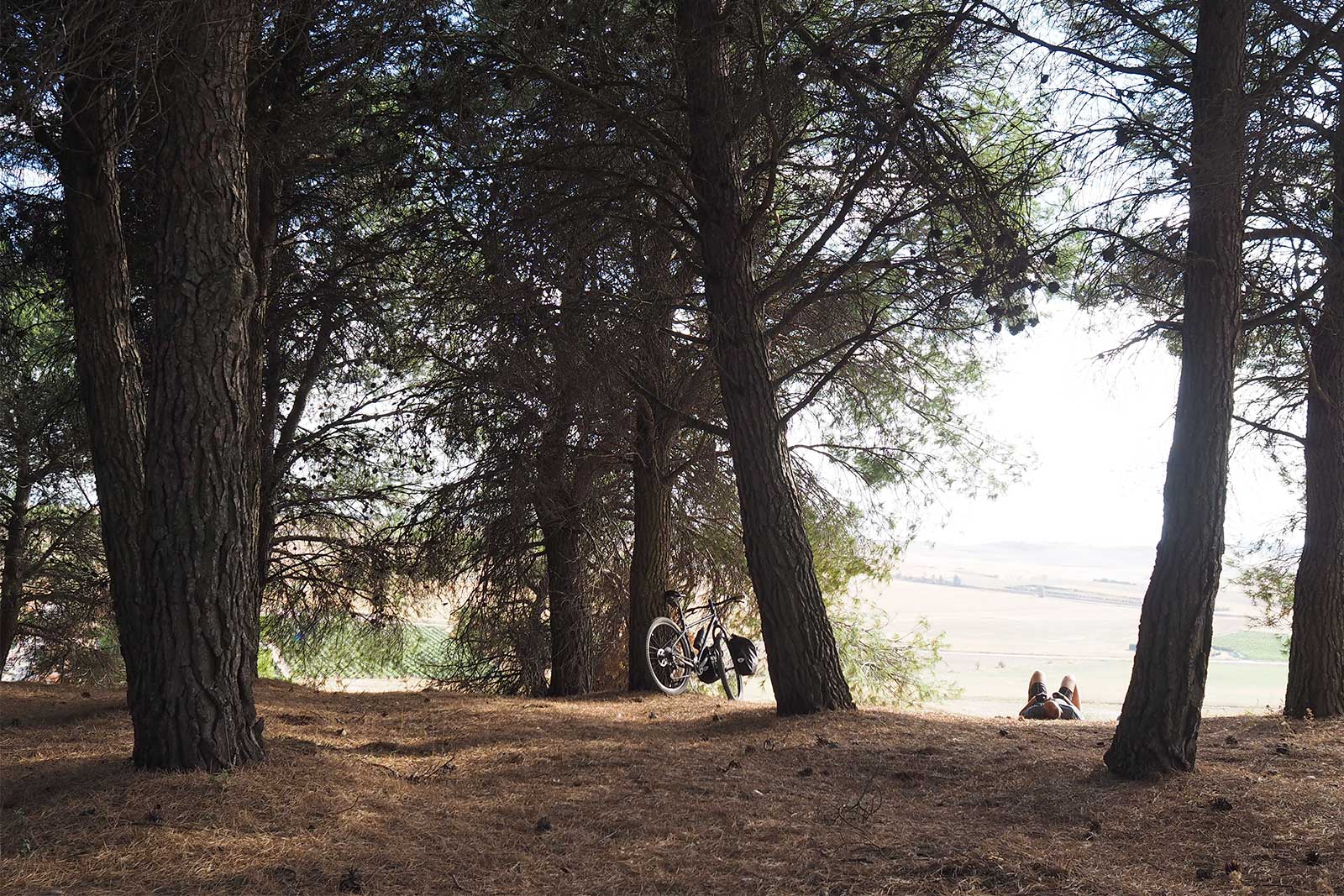 pinares-siesta-pinedes-valladolid-caminos-bici-octubre-yoniquenews