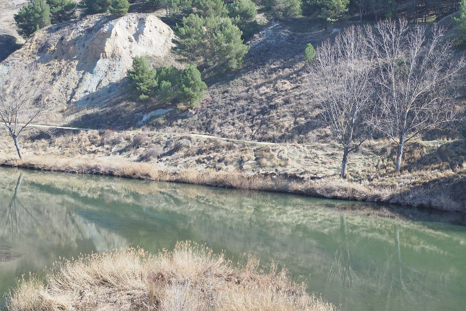 senda cortados cabezon pisuerga valladolid en bici yoniquenews