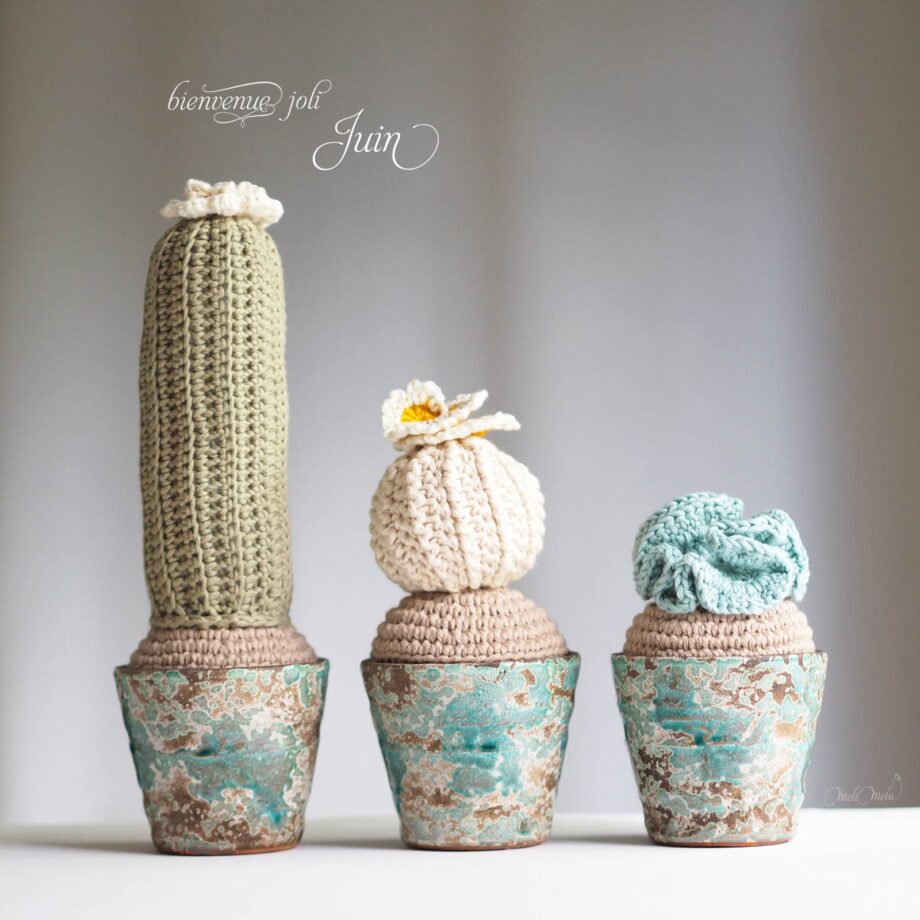trio cactus décoration succulente crochet coton céramique homeware juin laboutiquedemelimelo
