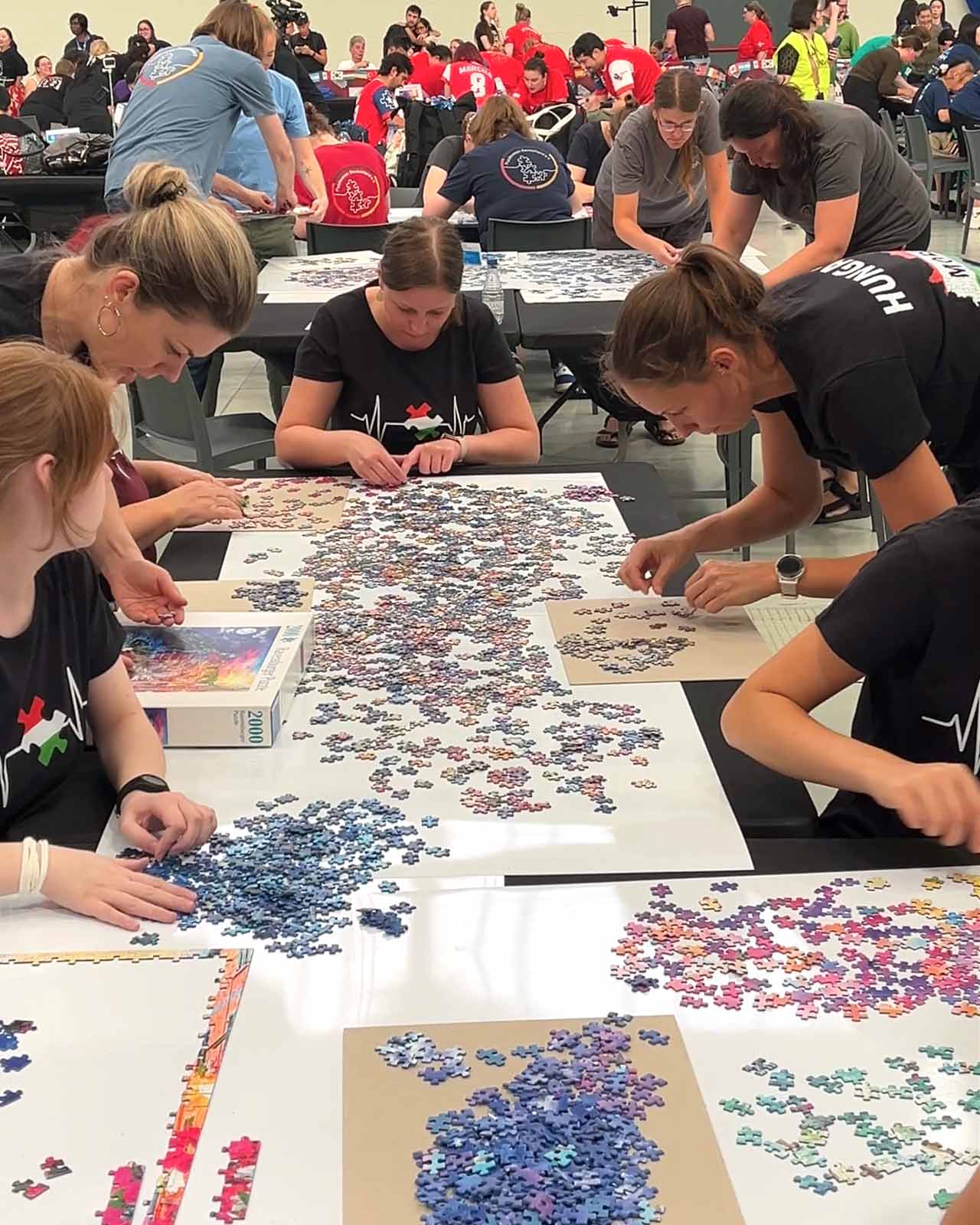 worldjigsaw-puzzle-championship-2026-countries-hungary-ravensburger-2000-pieces